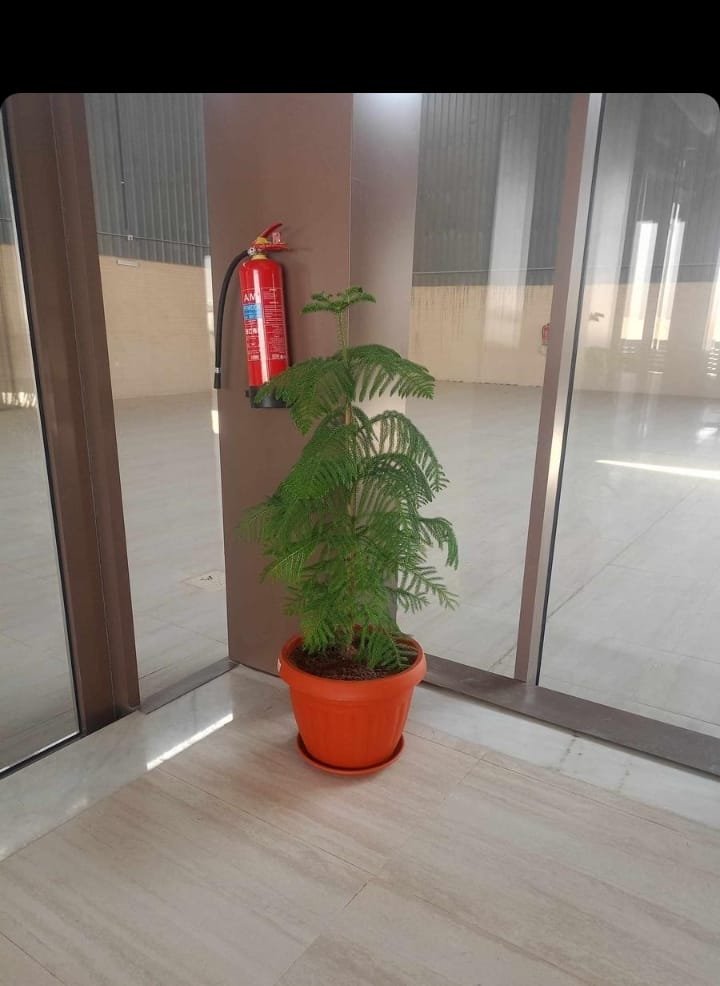 عمل تنسيق حدائق